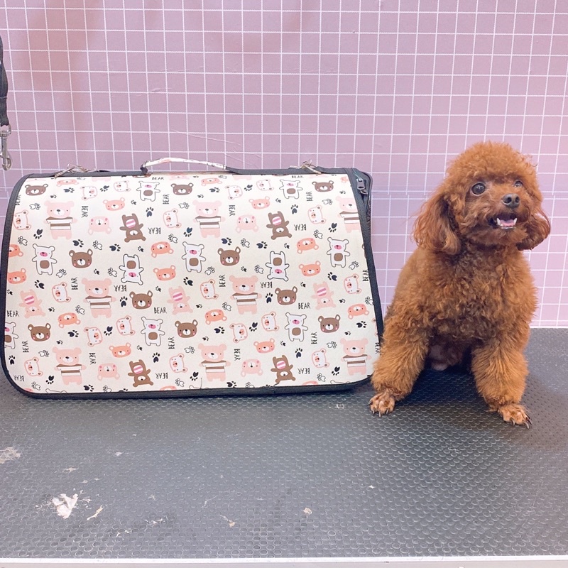 [Ship hoả tốc nội thành HCM- Hàng loại 1] Túi vận chuyển hoạ tiết/ mặt  cười giao mẫu ngẫu nhiên