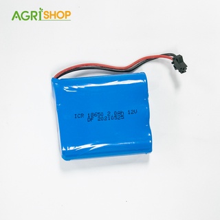 Pin Lithium 12V- 2AH