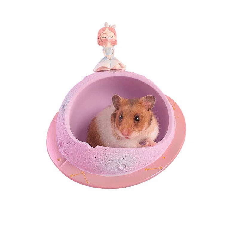 nhà hành tinh phiên bản công chúa cho hamster, fat tail, sóc,...