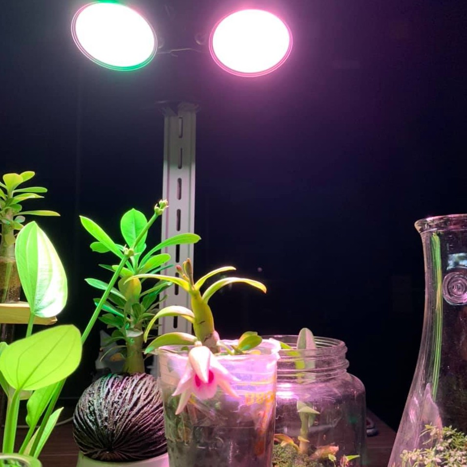 Đèn trồng cây, hoa trong nhà LED grow light 9W