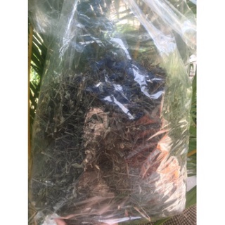 1kg Bạch hoa xà thiệt thảo (khô, sạch, mới) -dltd