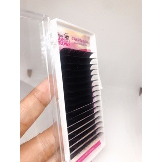 Mi khay Nối Classic - Lông mi khay độ D cong chuẩn - bắt keo nhanh - Hani