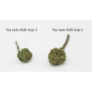 Nụ hoa tam thất dùng pha trà
