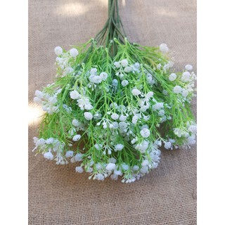 điểm bi cành dài 60cm