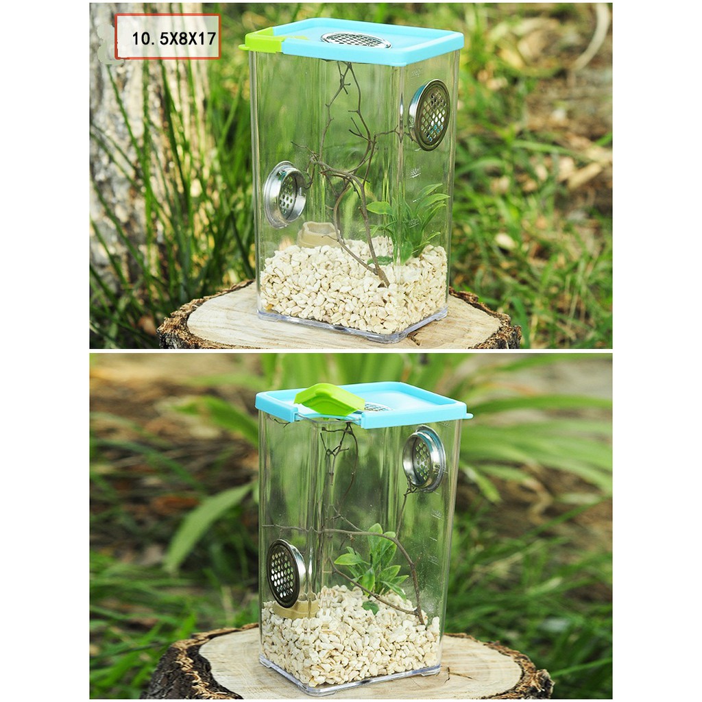 Tank nuôi nhện bọ cạp rết vật nuôi nhỏ