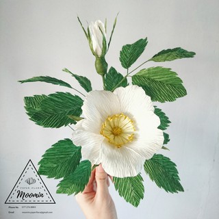 Hoa Kim anh/ Hồng vụng bằng giấy nhún (không có gai)