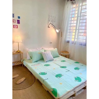 Chiếu điều hoà cao su non 5D cao cấp