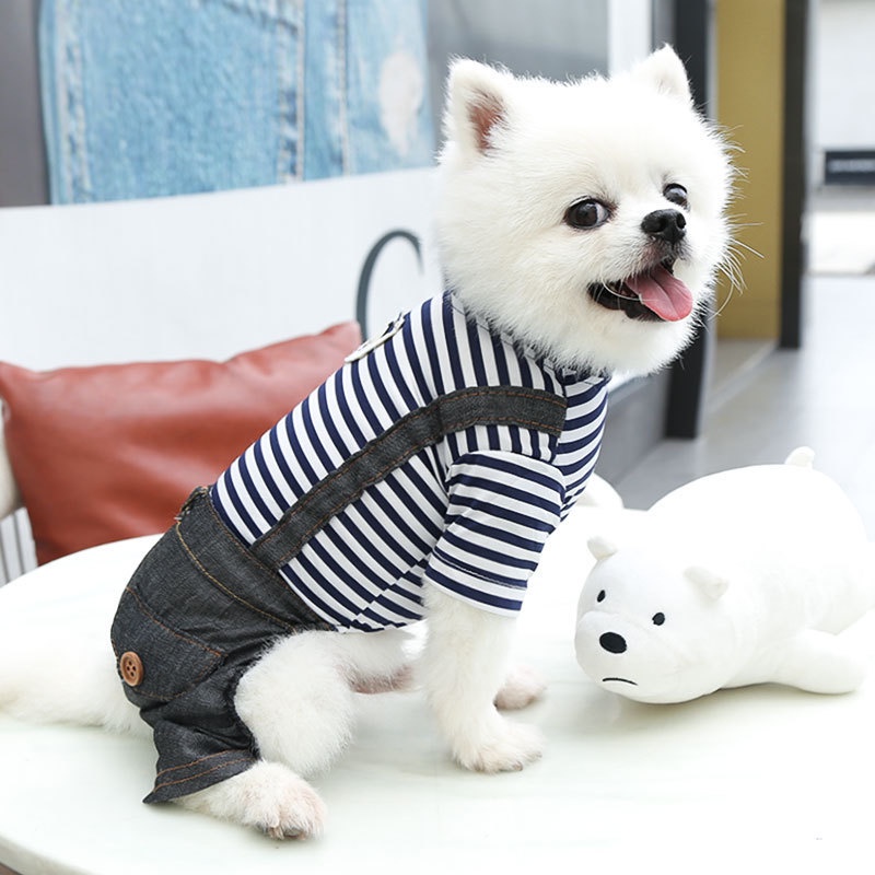 Áo Denim In Hình Dễ Thương Thời Trang Xuân Hè Cho Thú Cưng