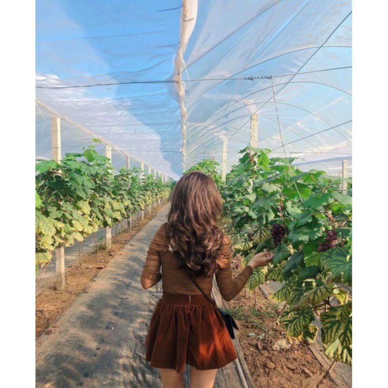 Chân Váy Nhung Loại 1 Kèm Tag Nel