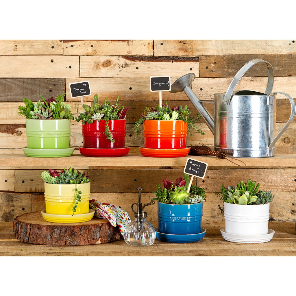 CHẬU TRÔNG CÂY MINI LE CREUSET, MÀU ĐỎ