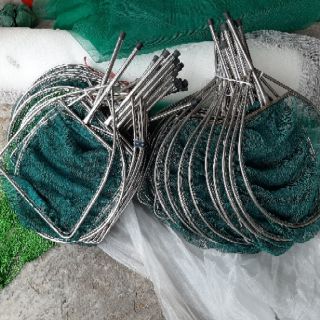 Vợt cá giống