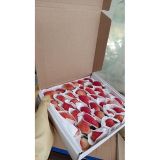 Dâu tây hữu cơ