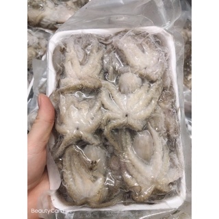 Bạch tuộc Baby