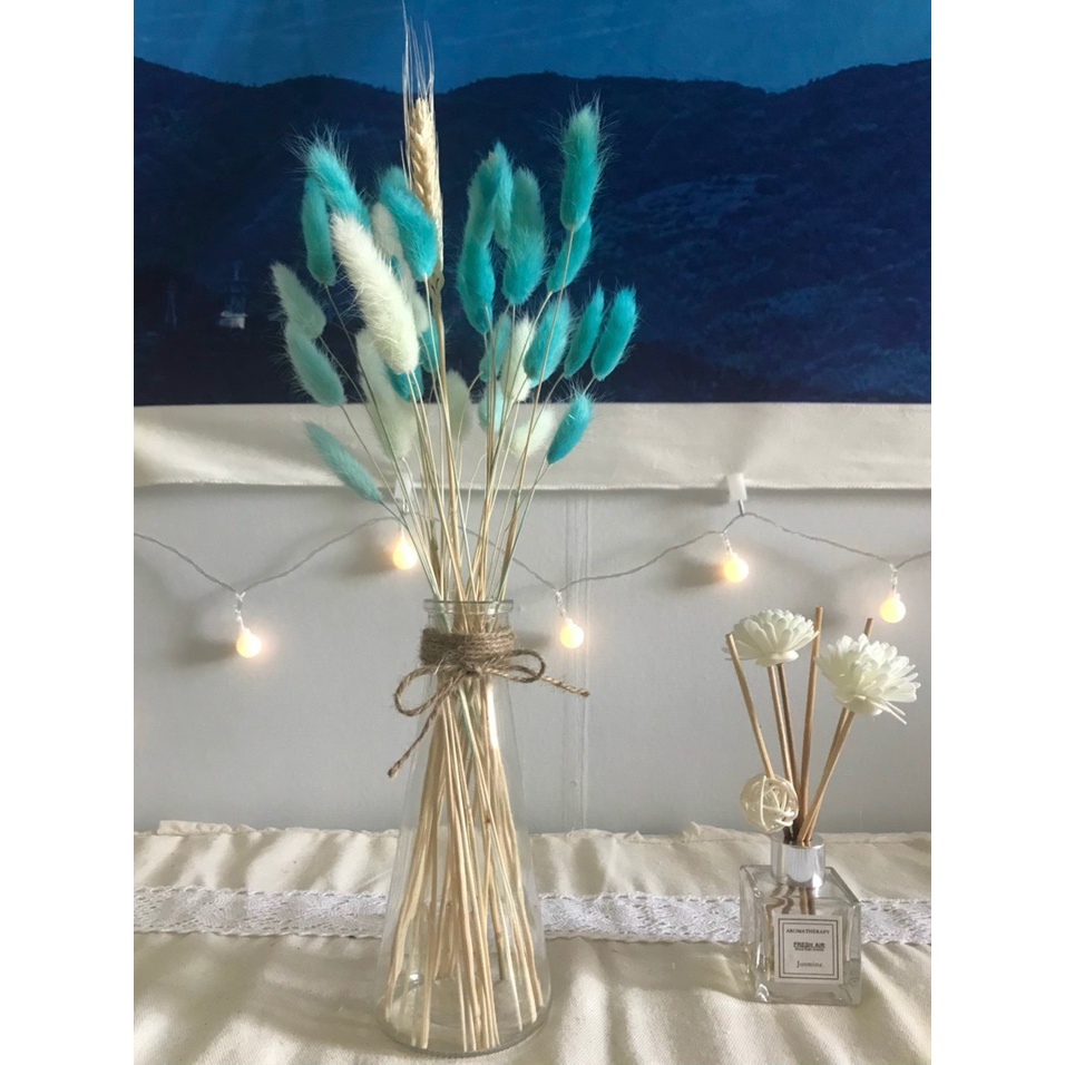 Bó 50 cành Hoa khô CỎ ĐUÔI THỎ nhập khẩu decor, trang trí cửa hàng, nội thất vintages