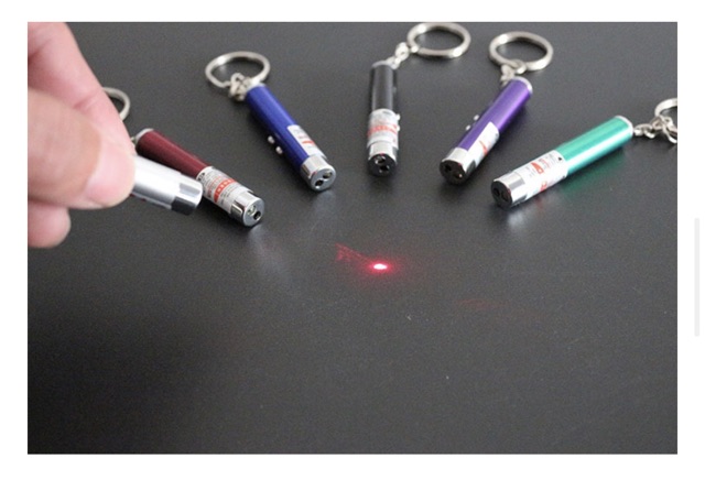 Đèn laser dành cho chó mèo