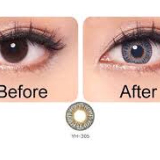 Lens xám Tây Hàn quốc