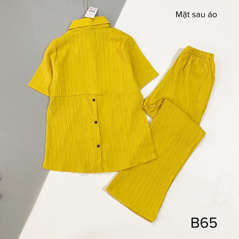 Bộ đũi gân cổ đức thiết kế kiểu mới xẻ sau lưng, quần xuông