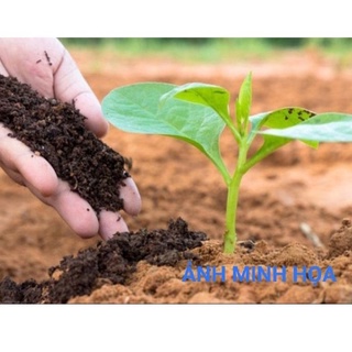 Phân Trùn Quế Hữu Cơ SFARM Nguyên Chất (Gói 2kg)