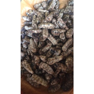 Trái Chuối cô đơn (Chuối mồ côi)