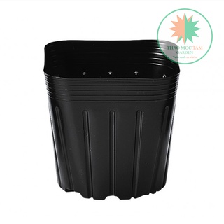 Set 100 Chậu ươm 10.5cm chuẩn Nhật – Chậu ươm cây con, cây giống, trồng hoa làm vườn