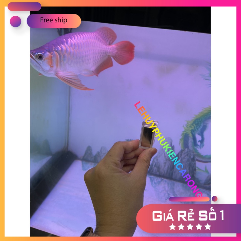 Lau kính bể cá nam châm Chihiros Magnet Cleaner Nano