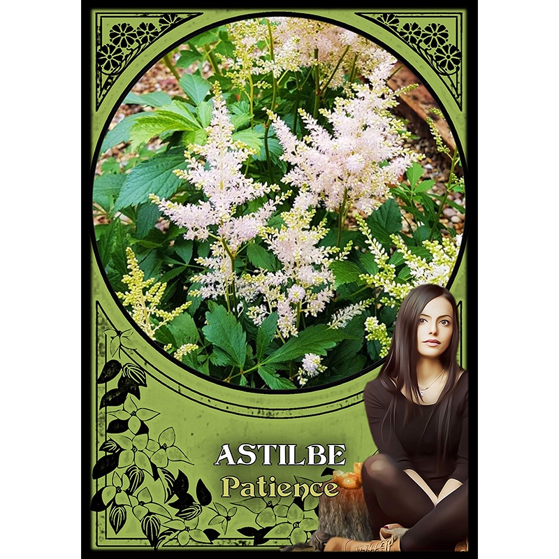 Bộ Bài Flower Magic Oracle Cards (Mystic House Tarot Shop) - Bài Gốc Authentic Chính Hãng 100%