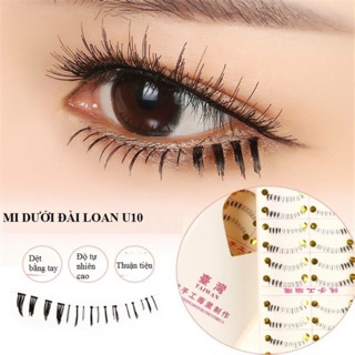 MI GIẢ - Mi dưới U10