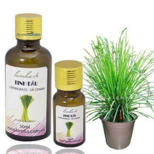 Tinh dầu Sả Chanh Lam Hà