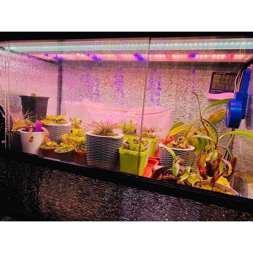 Đèn LED Trồng Cây DELPONTING HT500 LED 80W Đèn Quang Hợp Cho Cây Trồng Trong Nhà