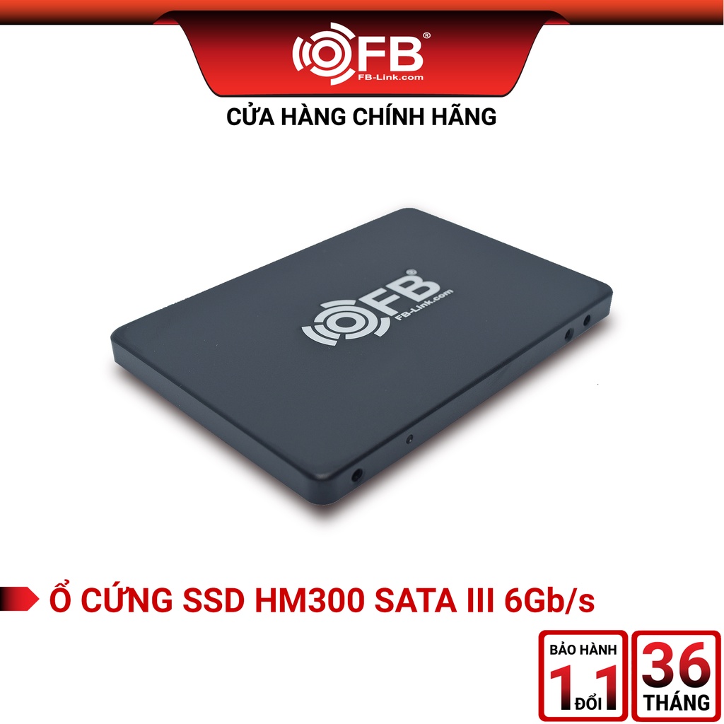 Ổ Cứng SSD 120GB FB-LINK HM300 SATA III 2.5" (6Gb/s) I Bảo hành 36 Tháng | BigBuy360 - bigbuy360.vn