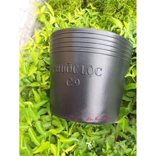 Chậu Nhựa Đen C9 Bít Lỗ