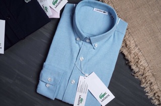 Sơ mi lacoste