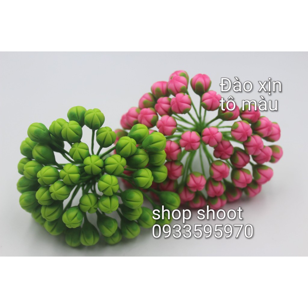 NỤ ĐÀO XỊN