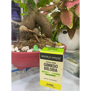 MANSON GINKGO BILOBA KHƠI DẬY TIỀM THỨC (HỘP 60 VIÊN)