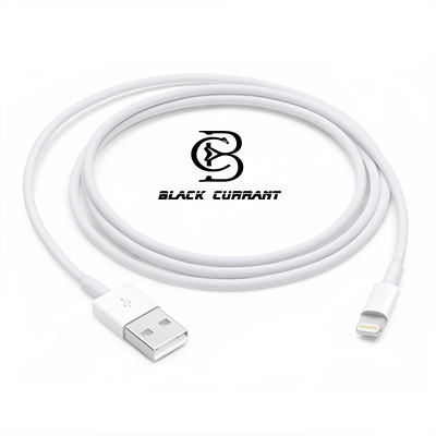 Dây sạc chính hãng Foxconn 5 lõi chân lightning cho iphone ipad dai 1m - 𝐁𝐥𝐚𝐜𝐤 𝐂𝐮𝐫𝐫𝐚𝐧𝐭 - BDS-002