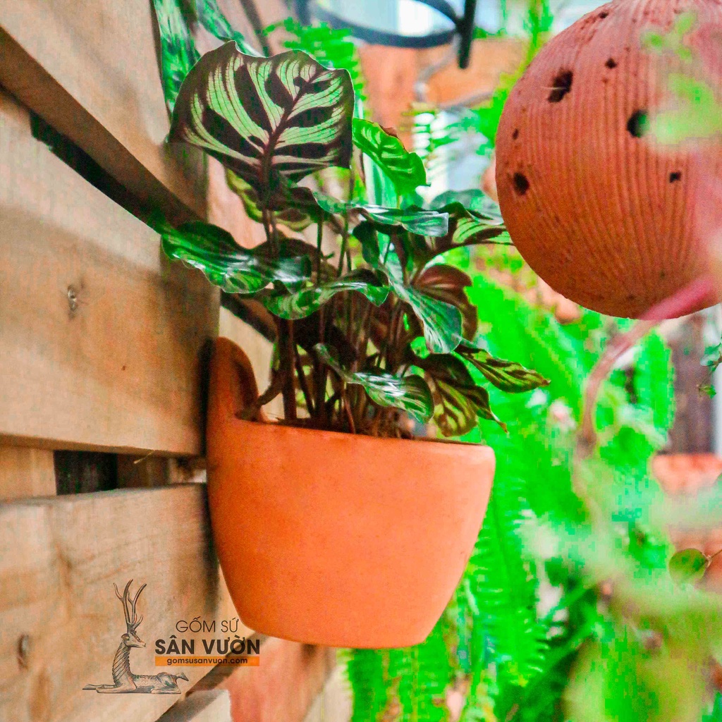 Chậu treo trồng cây gốm đất nung __ CHẬU TREO ÁP TƯỜNG TRỨNG___  - gốm sứ sân vườn Bình Dương chất lượng cao