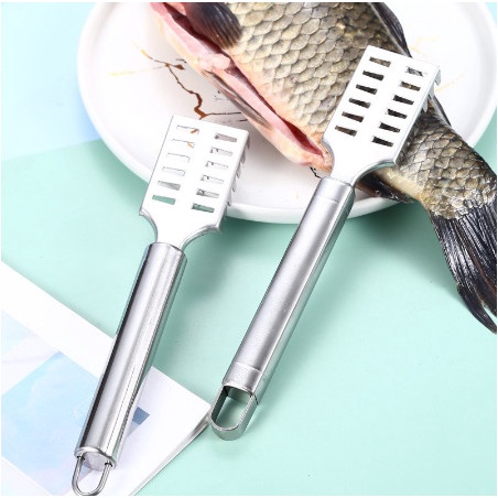 Cây cạo vảy cá sạch bằng inox tiện lợi nhanh chóng