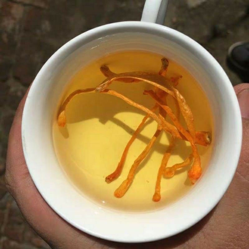 Đông Trùng Hạ Thảo 100g Hàng loại 1 Thơm, Vàng, Đẹp | BigBuy360 - bigbuy360.vn