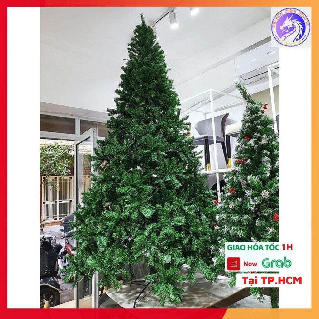 Cây thông noel 3m trang trí chân sắt tặng 1 ngôi sao đỉnh và 8 dây kim tuyến cây thông giáng sinh cao 300cm