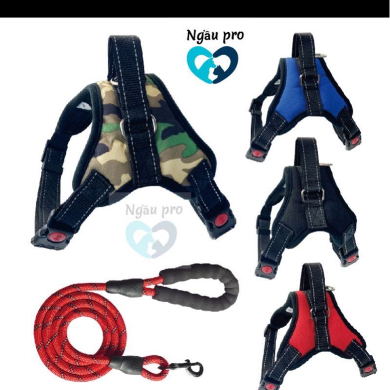 Đai dắt chó to, Yếm dắt chó size lớn đi dạo có đệm lưng ngực chống giật 5 màu sắc ngaupet không kèm dây xích chó