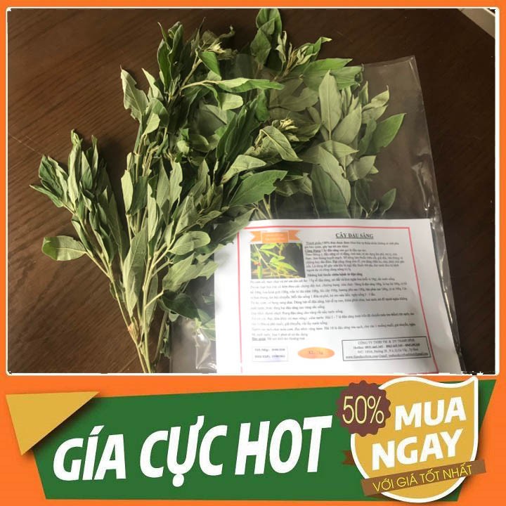 Cây Đậu Săng 500g - 100% Thu Hái Tự Nhiên Hàng Tươi