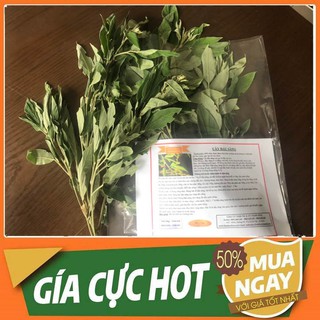 Cây Đậu Săng 1KG - 100% Thu Hái Tự Nhiên Hàng Tươi