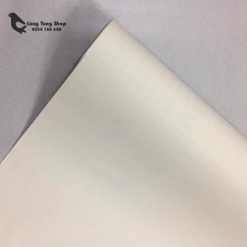 Decal dán tường có keo màu trơn