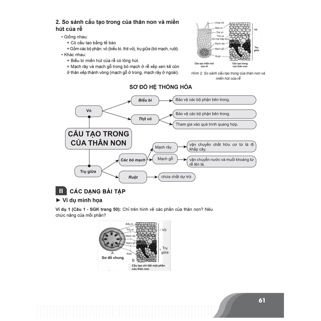 Sách - Bí quyết chinh phục điểm cao Sinh học 6