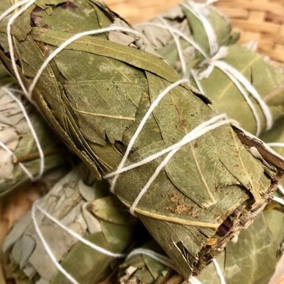 Xô thơm Bạch Đàn (White Sage &amp; Eucalyptus) Cân Bằng Cảm Xúc &amp; Tái Tạo năng Lượng l XÔ THƠM THANH TẨY