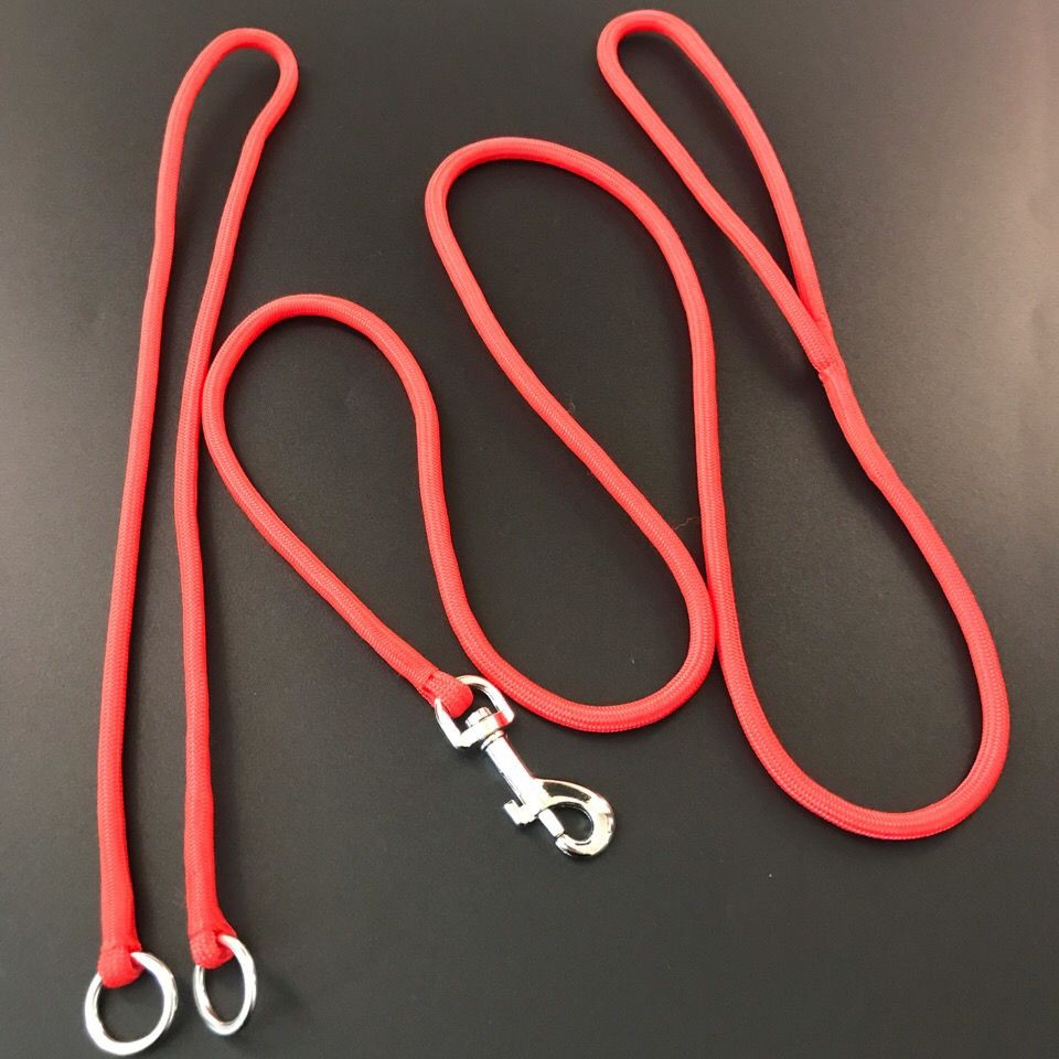 dog leash p-chain thi đấu chuyên nghiệp cấp độ dây kéo xích vật nuôi p-wire vòng cổ con chó có thể thu vào nylon