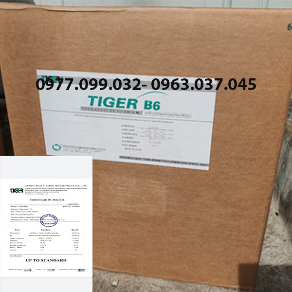 Nguyên Liệu Vitamin B6  hàm lượng 99%. Hỗ trợ tăng trưởng và tiêu hóa. Thùng 25kg