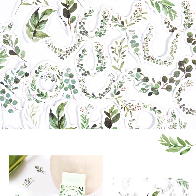 Hộp 46 miếng sticker mẫu vòng lá cây xanh