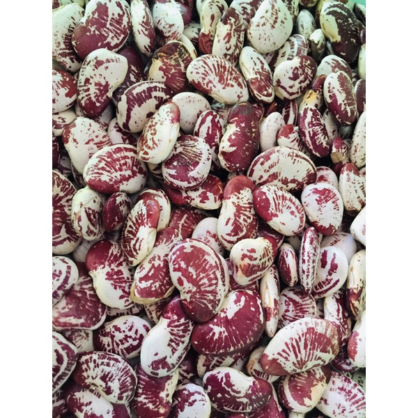 Đậu Ngự loại 1: Thơm - Bở ( Hút chân không)