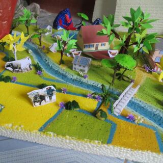 Comb 0,8đồ dùng khách đặt